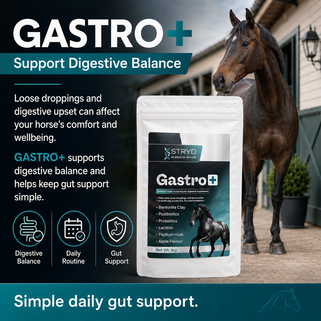 GASTRO+
